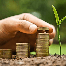 Banco do Brasil e a Petrobras discutem o mercado de créditos de carbono