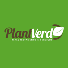 PlantVerd cresce 270% 