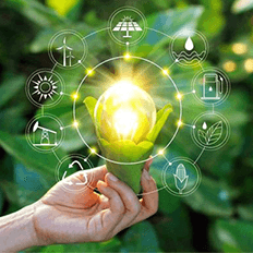 O que mudou e o que pode melhorar com a Economia Circular