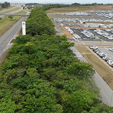 Toyota atua com iniciativas para diminuir o uso de recursos naturais e impactos ambientais  