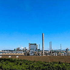 Klabin inicia um novo ciclo de investimentos com o Projeto Puma II