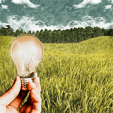 Algumas iniciativas buscam diversificar as fontes de energia