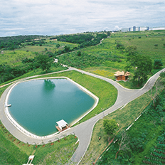 Práticas de sustentabilidade ambiental