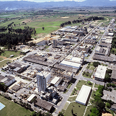 BASF calcula as pegadas de carbono de produto individuais