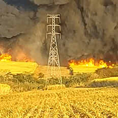 Queimadas são a segunda maior causa de perturbações em linhas de transmissão