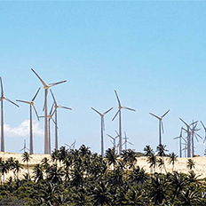 Parques eólicos do Nordeste vão garantir a matriz energética das 33 operações da Ambev