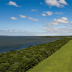 Biofílica Ambipar compensa pegada de carbono e gera créditos para comercialização no futuro