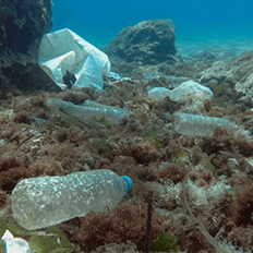Plano Estratégico de Monitoramento e Avaliação do Lixo no Mar do Estado de São Paulo