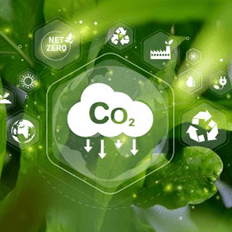 Exploração econômica no Brasil da atividade de captura e armazenamento de carbono