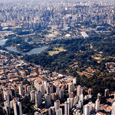 Emissões biogênicas, química e impactos na atmosfera da Região Metropolitana de São Paulo: BIOMASP+