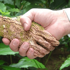 Mudança global em direção à descarbonização