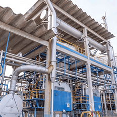 Empresas brasileiras têm adotado boas práticas de sustentabilidade