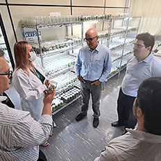 Projetos de base biotecnológica que contribuem para a complementação das atividades da 3M 