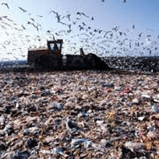 Lixo urbano produzido é possível gerar energia elétrica 