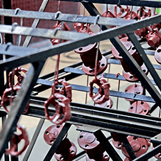 Empresas de diversos ramos buscam compensar sua pegada de carbono