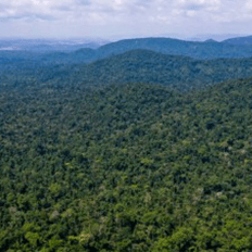 ESPCA Amazônia proporciona uma visão multi e interdisciplinar