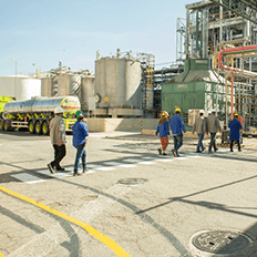 Iniciativas sustentáveis fazem parte do projeto Triple E da BASF