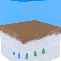 Marco legal para a exploração econômica da atividade de captura e armazenamento de carbono