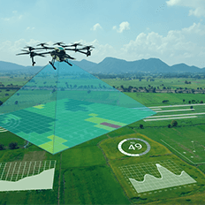 Agricultura inteligente atrelada à tecnologia é a aposta para a alta eficiência e menos perdas
