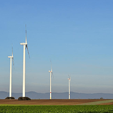 Transição verde do país 