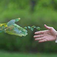 Sustentabilidade é um tema que representa uma das maiores urgências do mundo atualmente