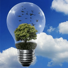 Aceleração da Transição Energética no Estado de São Paulo e no Brasil