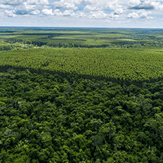 Cerimônia de posse dos Conselhos Diretor e Fiscal da ABAF na FIEB