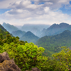 Adsmovil vai compensar sua pegada de carbono deste ano