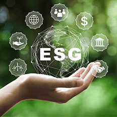 Adoção das práticas relacionadas ao tema ESG