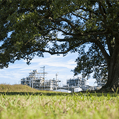 BASF vai produzir mais para os mercados de tintas, automotivo e agrícola