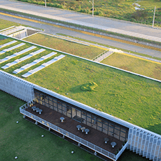 Telhado verde: Qual o seu funcionamento?