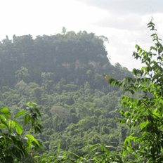 Abertura de áreas protegidas na Amazônia 