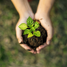 Volkswagen lança o projeto Reservas Verdes 