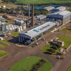 Usinas associadas à Copersucar vêm realizando um trabalho intenso de preservação ambiental