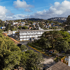 Ibema aprofunda a coleta e análise de suas informações nos quesitos ESG