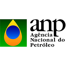 X Workshop de Segurança Operacional e Meio Ambiente - X SOMA