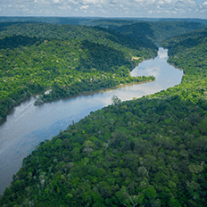 Preservação do meio ambiente e apoio a comunidades