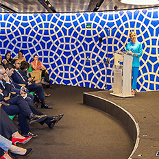 Brasil pode suprir 48,7% do mercado de carbono