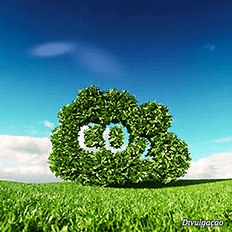 Brasil foi responsável por 12% da oferta mundial de créditos de carbono para o mercado voluntário