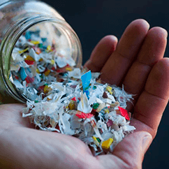 Braskem investe em expansão de capacidade e parcerias para produção de plástico de fonte renovável