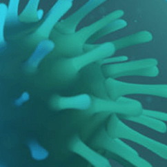 Eco Class Educação Corporativa lança curco