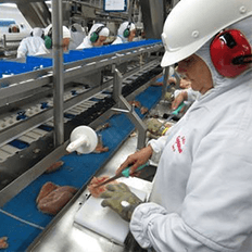 Frigoríficos desvendam a biotecnologia aplicada ao tratamento de efluentes