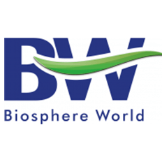 BW Perspectivas: Visão da Indústria da Construção