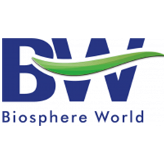 BW Perspectivas: Visão da Indústria da Construção 