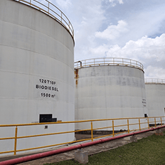 Seminário: As externalidades da Política Nacional de Biodiesel - Desafios e Expectativas do Setor 