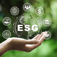 Temas que envolvem sustentabilidade fazem parte das preocupações e estratégias de organizações