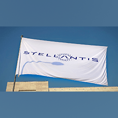 Stellantis está de olho na Índia devido aos custos de produção de carros elétricos 