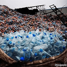Índice de reciclagem de plásticos se mantem estável 