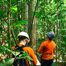 Dow divulga os nove projetos selecionados para o Fundo de Impacto nos Negócios de 2022