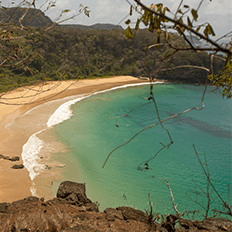Fernando de Noronha tem práticas de Environmental, Social and Corporate Governance - ESG 